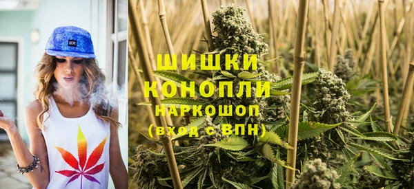 mdpv Волоколамск