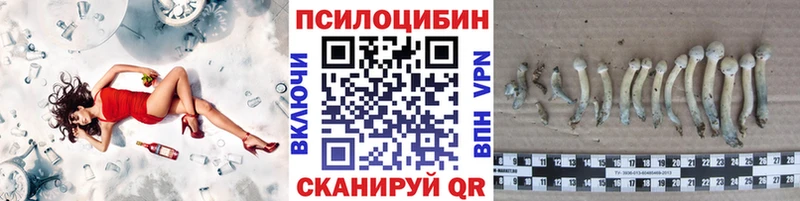 hydra зеркало  купить   Ейск  Псилоцибиновые грибы мухоморы 